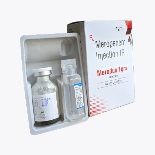 Meropenem Anhydrous 1000 mg injection