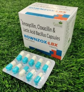 Amoxicillin, Cloxacillin, and  Lactic Acid Bacillus Capsule